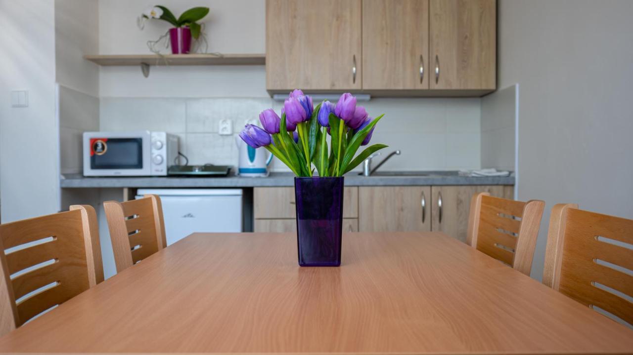 Apartmany A Studia Zamecky Park Litvínov Kültér fotó