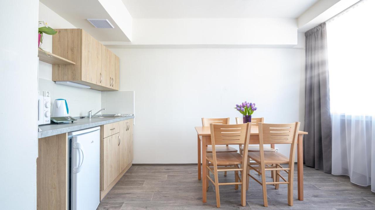 Apartmany A Studia Zamecky Park Litvínov Kültér fotó