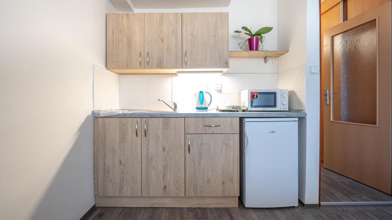 Apartmany A Studia Zamecky Park Litvínov Kültér fotó